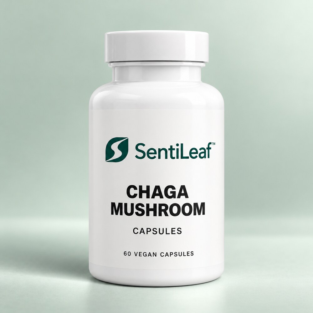 Chaga Mushroom